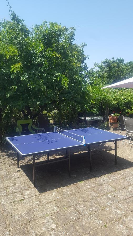 Casale Citerno Apartment Bolsena Ngoại thất bức ảnh