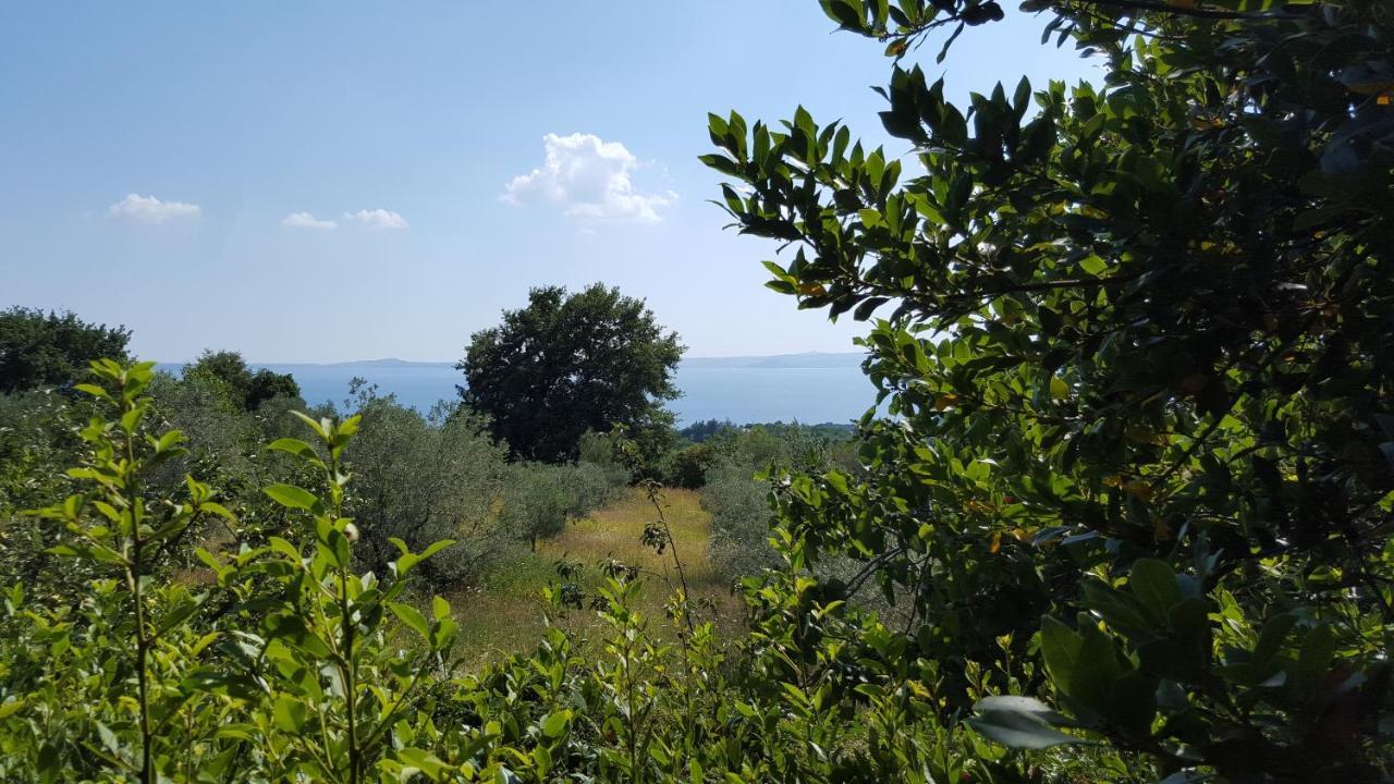 Casale Citerno Apartment Bolsena Ngoại thất bức ảnh