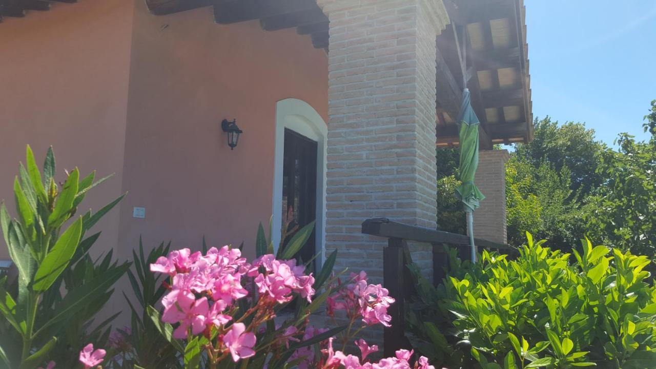 Casale Citerno Apartment Bolsena Ngoại thất bức ảnh
