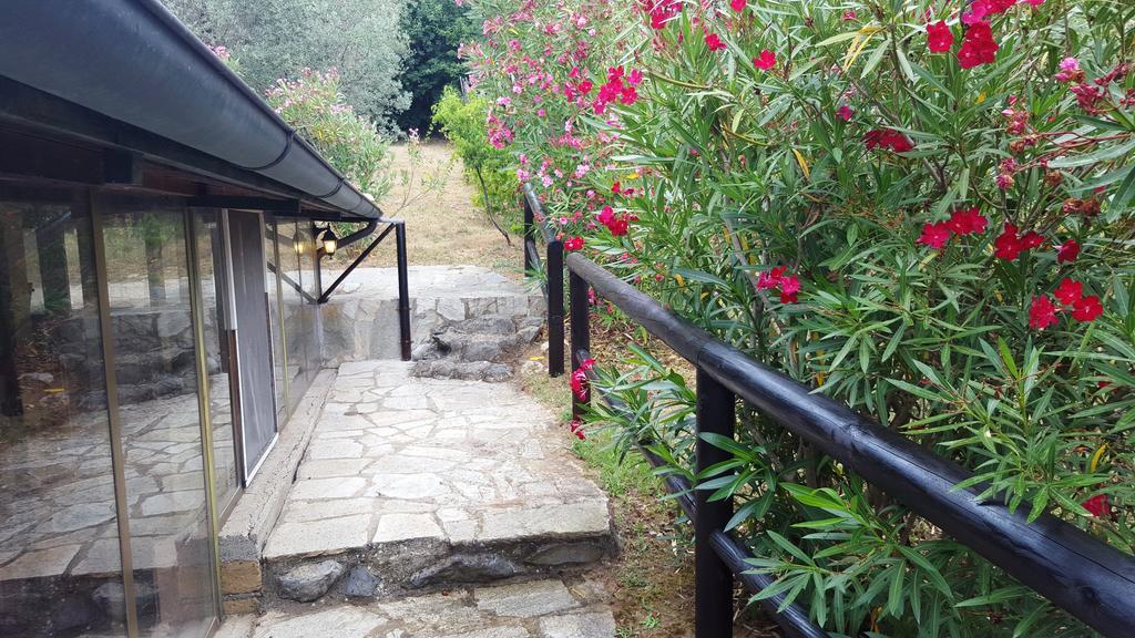 Casale Citerno Apartment Bolsena Ngoại thất bức ảnh
