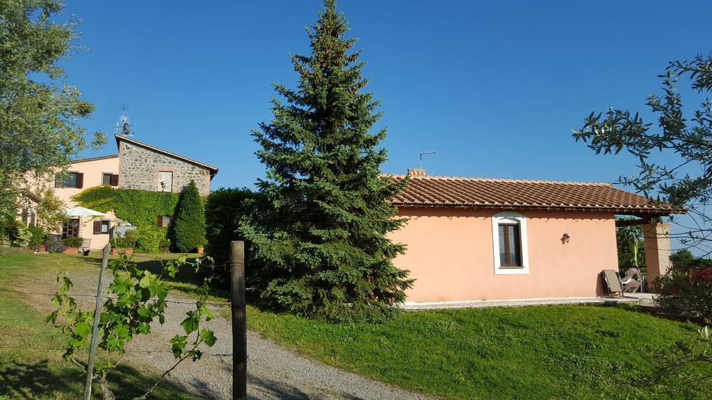 Casale Citerno Apartment Bolsena Ngoại thất bức ảnh